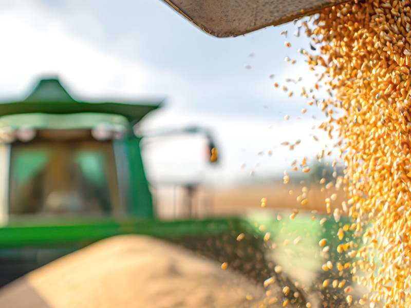 Endüstriyel Öğütme Sistemlerinde Verimlilik Nasıl Artırılır?